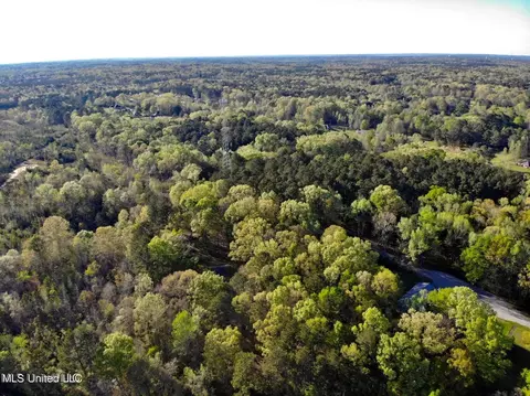 Trickhambridge Road, Brandon, MS 39042 photo 4