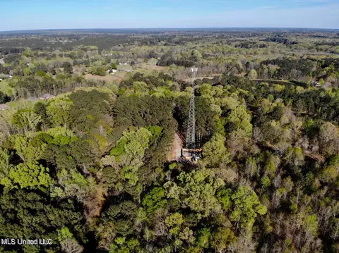 Trickhambridge Road, Brandon, MS 39042 photo 2