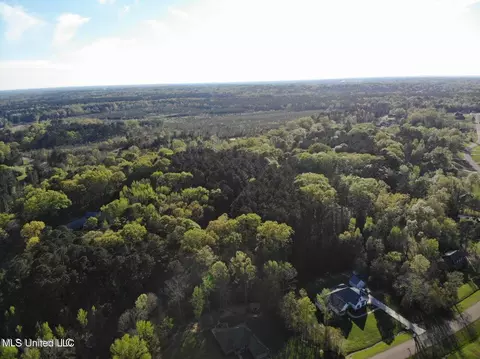 Trickhambridge Road, Brandon, MS 39042 photo 5