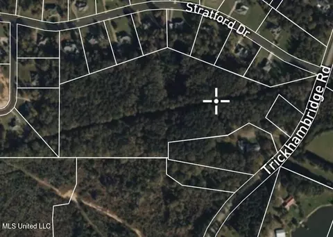 Trickhambridge Road, Brandon, MS 39042 photo 7
