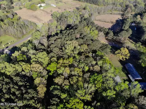Trickhambridge Road, Brandon, MS 39042 photo 3