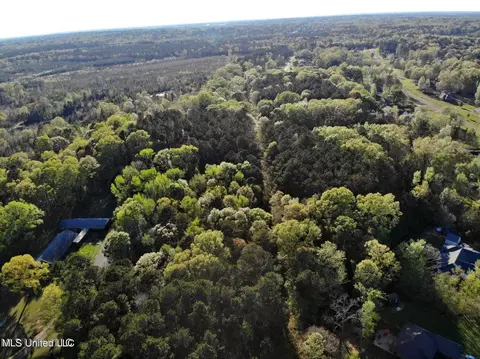 Trickhambridge Road, Brandon, MS 39042 photo 6
