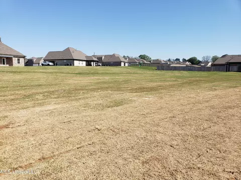 Exterior - 199 Cadet Dr, Senatobia, MS 38668 photo 2 of 4