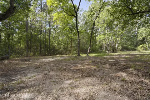 11612 Independence Rd, Moss Point, MS 39562 photo 26