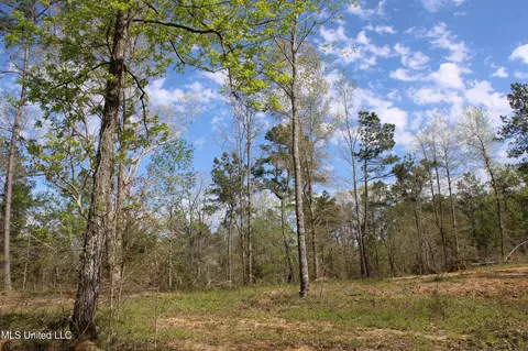 2300 Hamilton Rd, Falkner, MS 38629 photo 27