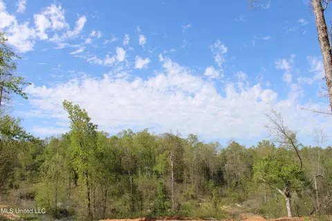 2300 Hamilton Rd, Falkner, MS 38629 photo 9