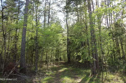 2300 Hamilton Rd, Falkner, MS 38629 photo 28