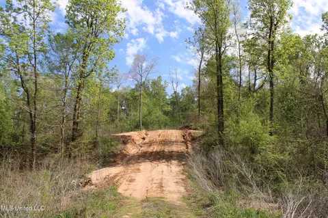 2300 Hamilton Rd, Falkner, MS 38629 photo 12