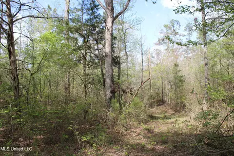 2300 Hamilton Rd, Falkner, MS 38629 photo 8