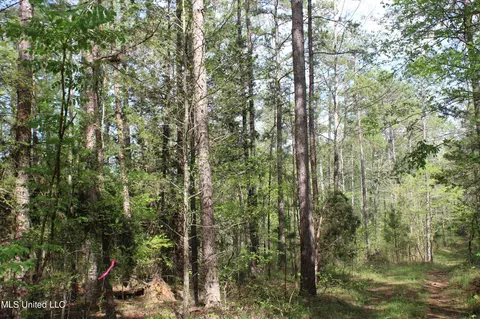 2300 Hamilton Rd, Falkner, MS 38629 photo 16