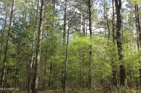 2300 Hamilton Rd, Falkner, MS 38629 photo 15