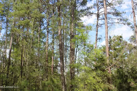 2300 Hamilton Rd, Falkner, MS 38629 photo 17