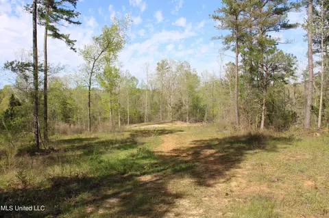 2300 Hamilton Rd, Falkner, MS 38629 photo 26