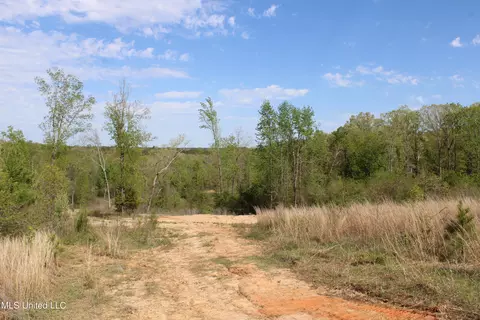 2300 Hamilton Rd, Falkner, MS 38629 photo 2
