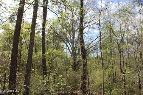 2300 Hamilton Rd, Falkner, MS 38629 photo 21