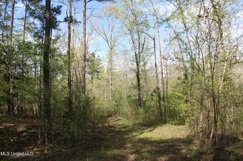 2300 Hamilton Rd, Falkner, MS 38629 photo 19