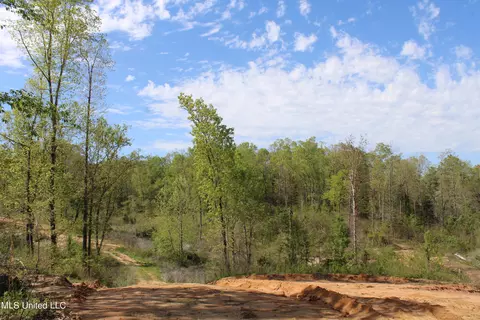 2300 Hamilton Rd, Falkner, MS 38629 photo 10