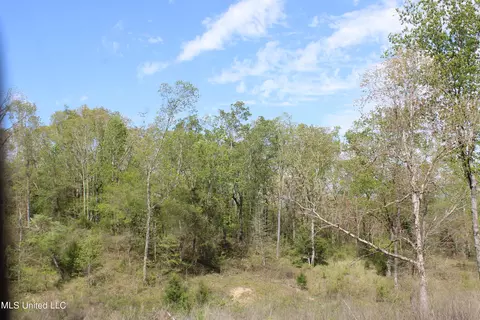 2300 Hamilton Rd, Falkner, MS 38629 photo 5
