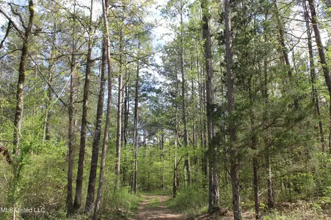 2300 Hamilton Rd, Falkner, MS 38629 photo 14