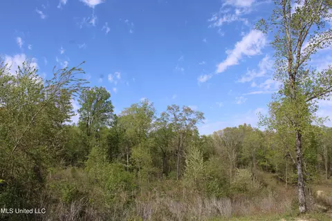 2300 Hamilton Rd, Falkner, MS 38629 photo 3