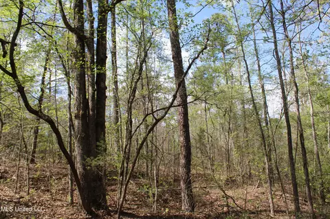 2300 Hamilton Rd, Falkner, MS 38629 photo 18