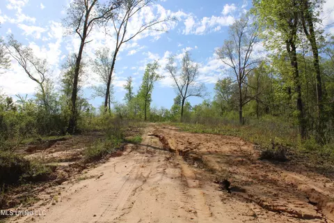 2300 Hamilton Rd, Falkner, MS 38629 photo 11