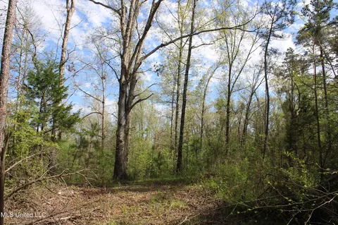 2300 Hamilton Rd, Falkner, MS 38629 photo 24