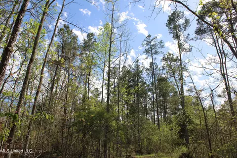 2300 Hamilton Rd, Falkner, MS 38629 photo 23