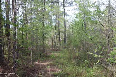 2300 Hamilton Rd, Falkner, MS 38629 photo 7