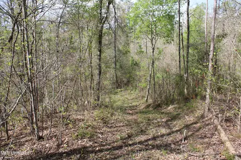 2300 Hamilton Rd, Falkner, MS 38629 photo 22