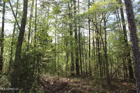 2300 Hamilton Rd, Falkner, MS 38629 photo 25