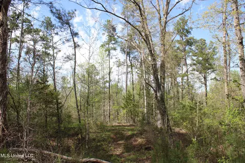 2300 Hamilton Rd, Falkner, MS 38629 photo 20