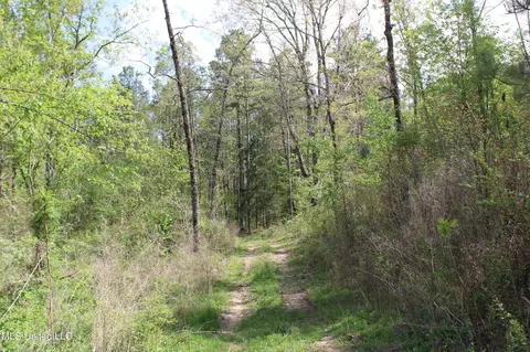 2300 Hamilton Rd, Falkner, MS 38629 photo 13
