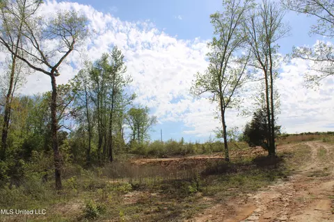 2300 Hamilton Rd, Falkner, MS 38629 photo 6