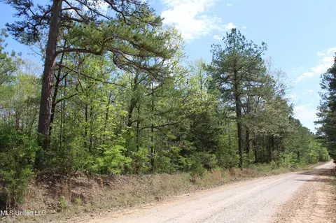 5200 Blackjack Rd, Ashland, MS 38603 photo 13