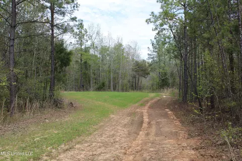 5200 Blackjack Rd, Ashland, MS 38603 photo 16