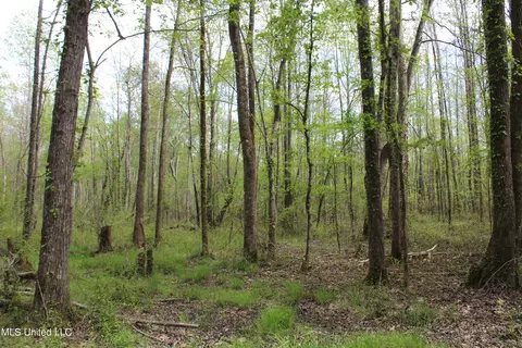 5200 Blackjack Rd, Ashland, MS 38603 photo 23