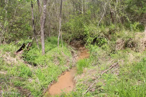 5200 Blackjack Rd, Ashland, MS 38603 photo 25