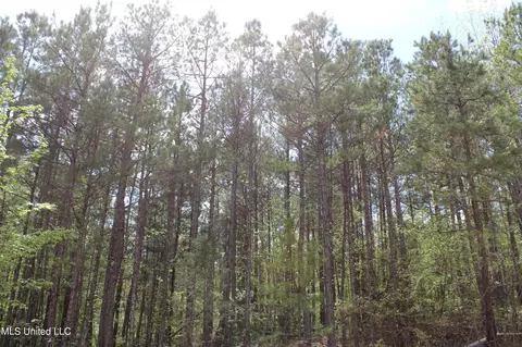 5200 Blackjack Rd, Ashland, MS 38603 photo 36