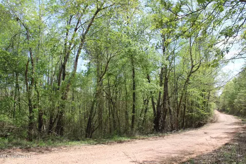 5200 Blackjack Rd, Ashland, MS 38603 photo 3