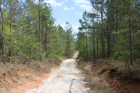 5200 Blackjack Rd, Ashland, MS 38603 photo 15