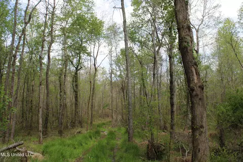 5200 Blackjack Rd, Ashland, MS 38603 photo 22