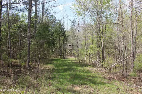 5200 Blackjack Rd, Ashland, MS 38603 photo 48