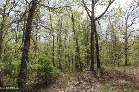 5200 Blackjack Rd, Ashland, MS 38603 photo 9