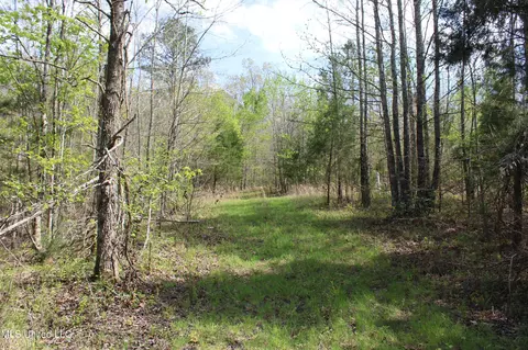 5200 Blackjack Rd, Ashland, MS 38603 photo 47