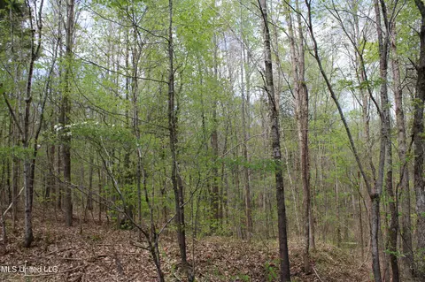 5200 Blackjack Rd, Ashland, MS 38603 photo 39