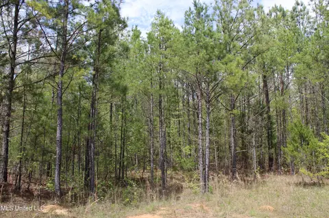 5200 Blackjack Rd, Ashland, MS 38603 photo 31
