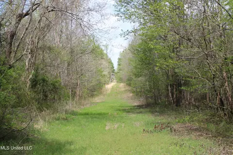 5200 Blackjack Rd, Ashland, MS 38603 photo 28