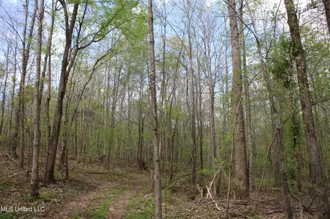 5200 Blackjack Rd, Ashland, MS 38603 photo 43