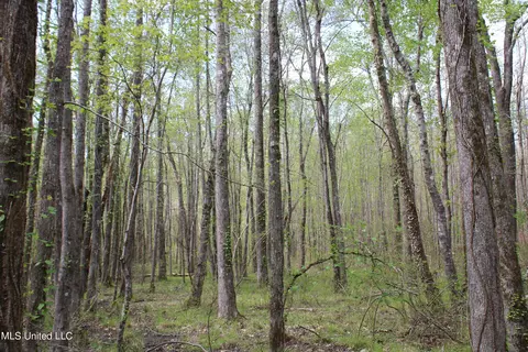 5200 Blackjack Rd, Ashland, MS 38603 photo 21